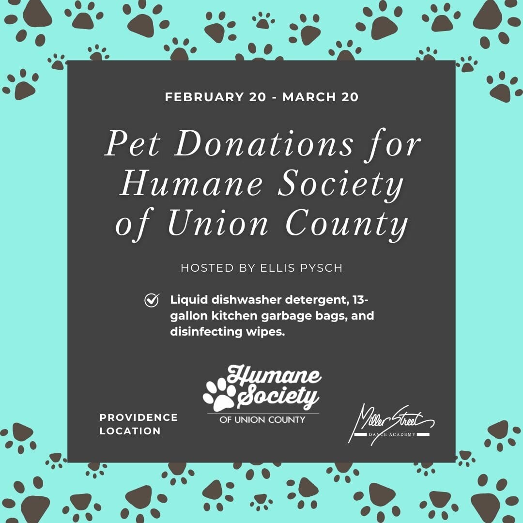 Pet Donations collection for local shelter animals